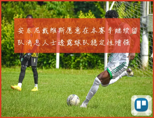安东尼戴维斯愿意在本赛季继续留队消息人士透露球队稳定性增强