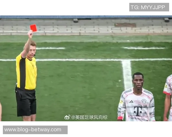 拜仁对杰克逊超6500万的转会费表示质疑正在关注拉扬与弗拉霍维奇